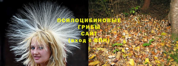 мескалин Алзамай