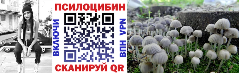 Галлюциногенные грибы Psilocybe  blacksprut вход  Завитинск  продажа наркотиков 